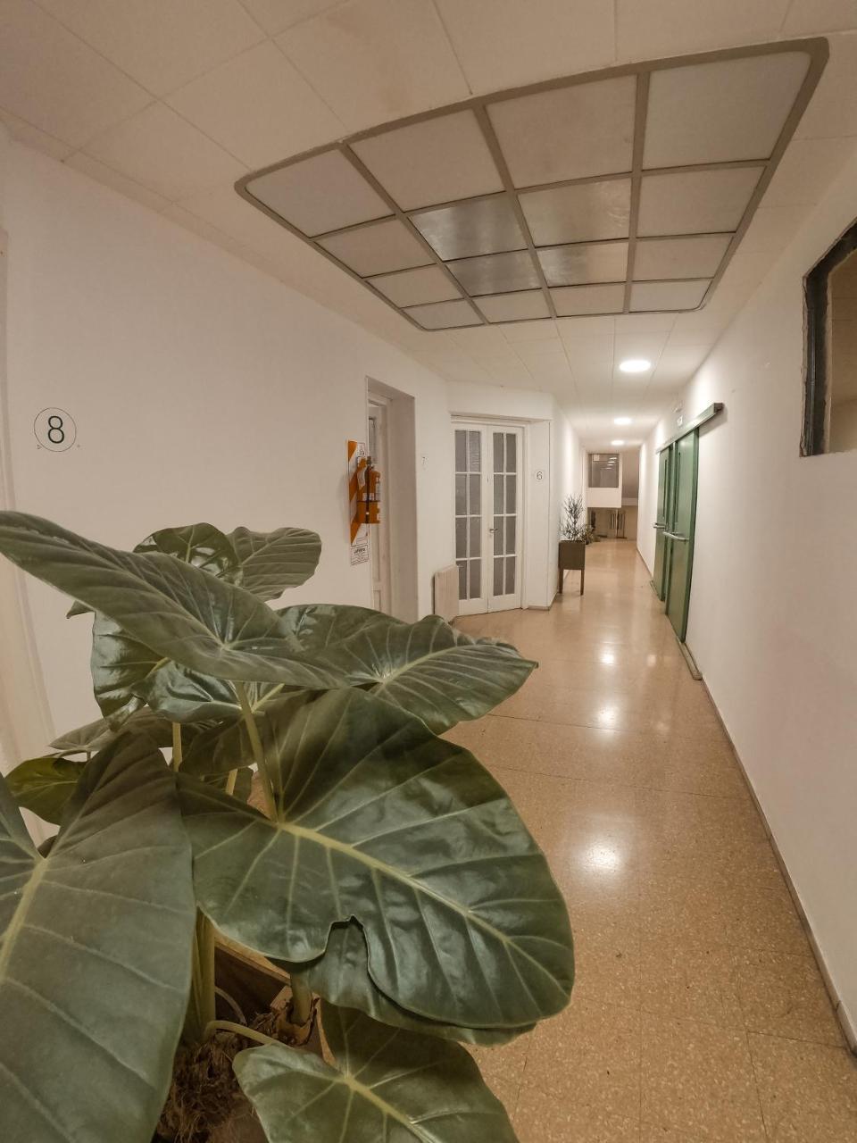 Greengo Hostel Córdoba Eksteriør billede